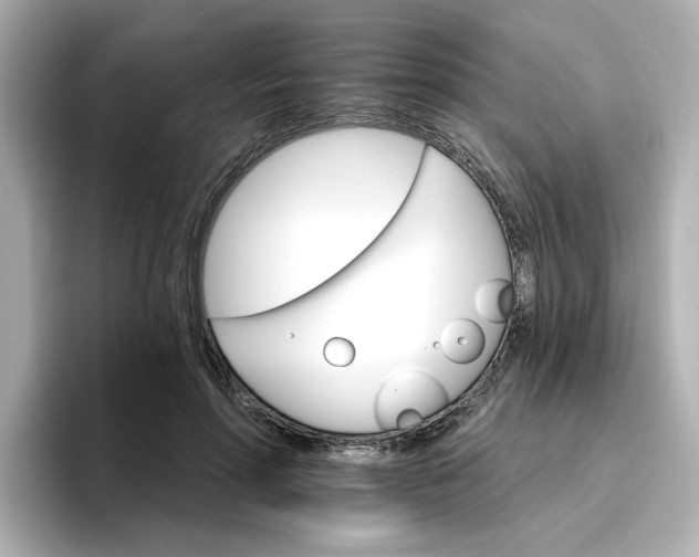 X0000096970598200802221404