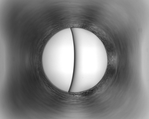 X0000096970599200802221404