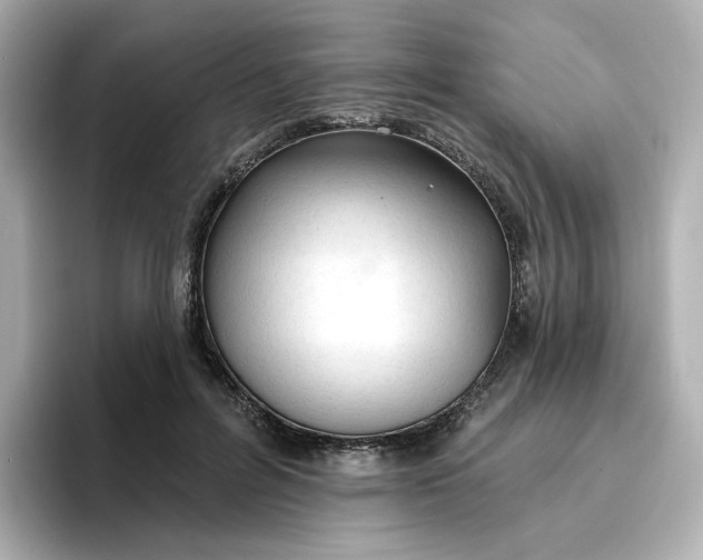 X0000096970600200802221404