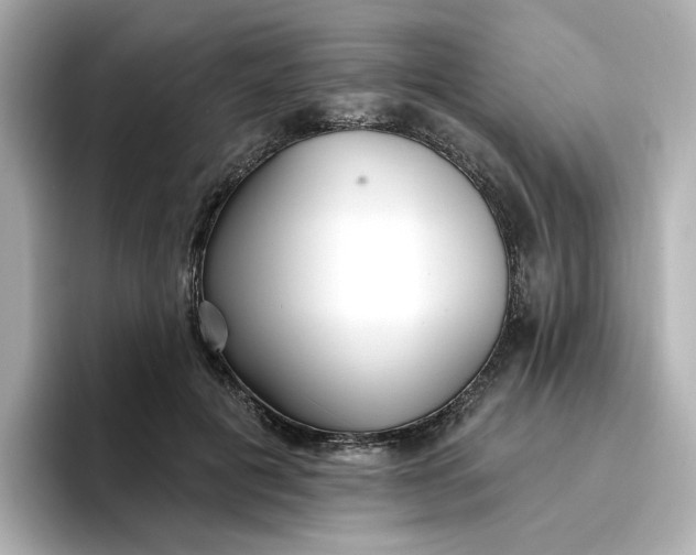 X0000096970601200802221404