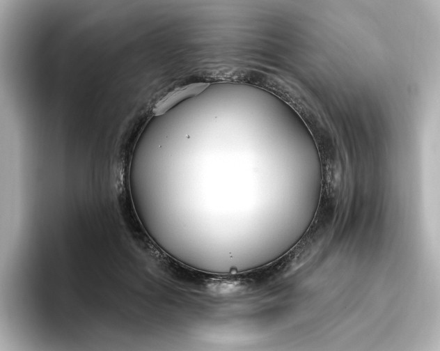 X0000096970602200802221404