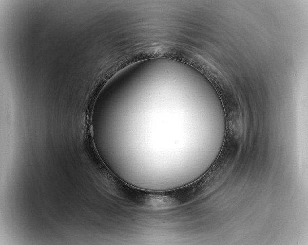 X0000096970605200802221404