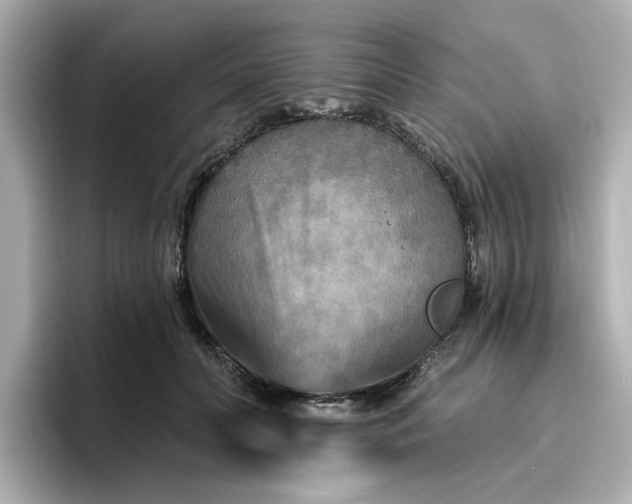 X0000096970606200802221404