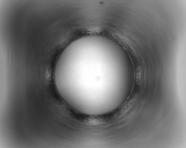 X0000096970608200802221404