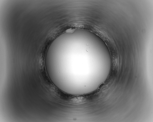 X0000096970609200802221404