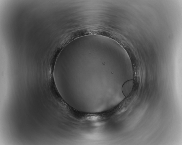 X0000096970610200802221404