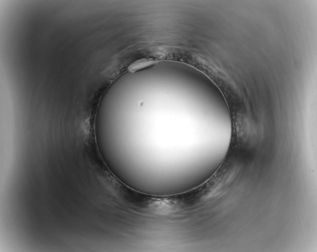 X0000096970611200802221404