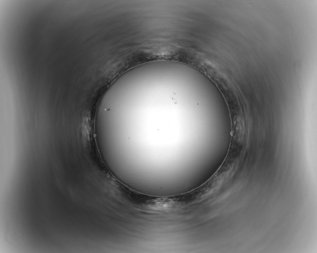 X0000096970612200802221404