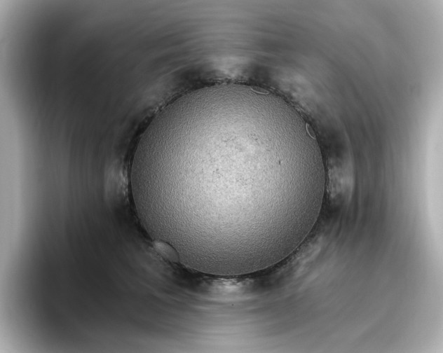 X0000096970613200802221404