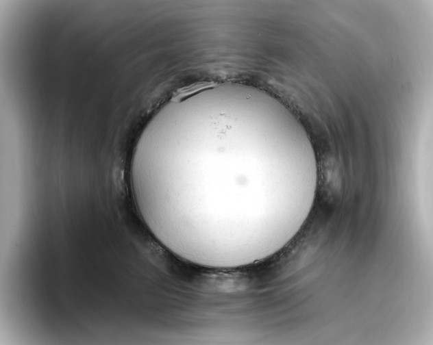 X0000096970615200802221404