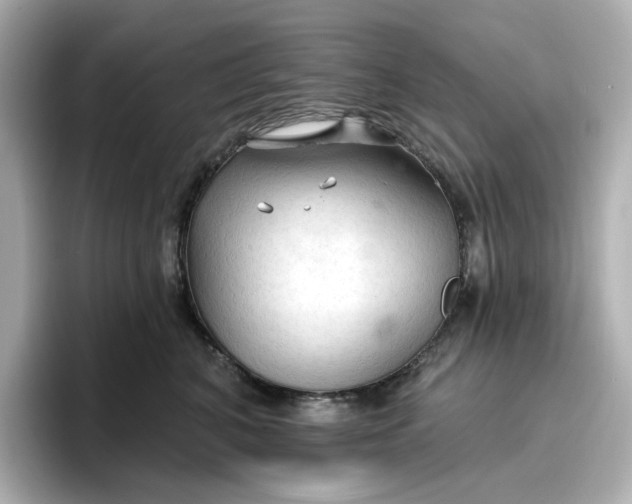 X0000096970616200802221404