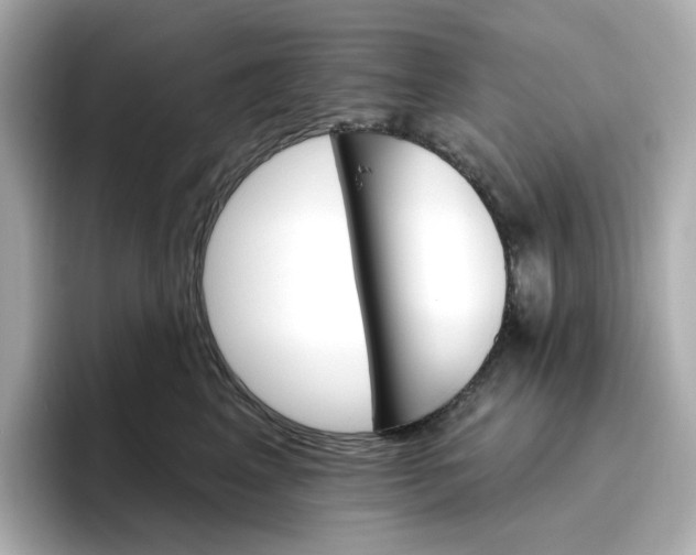 X0000096970617200802221404