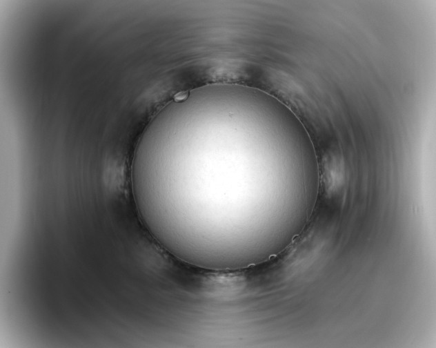 X0000096970619200802221404