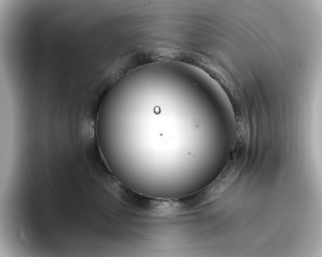 X0000096970621200802221404