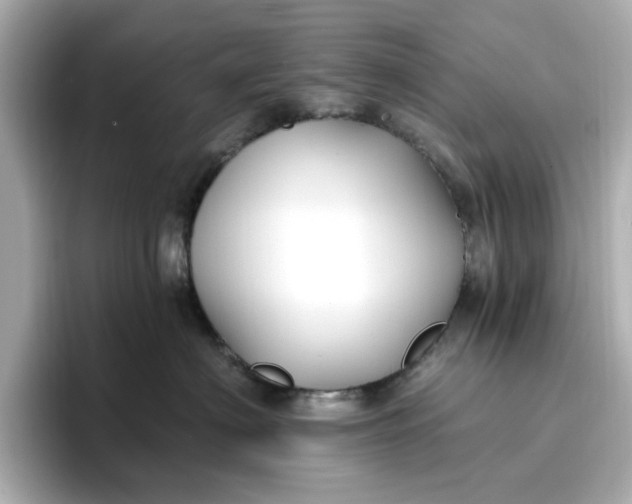 X0000096970622200802221404