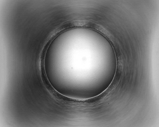 X0000096970626200802221403