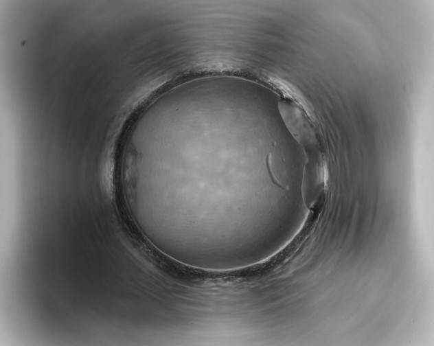 X0000096970627200802221403