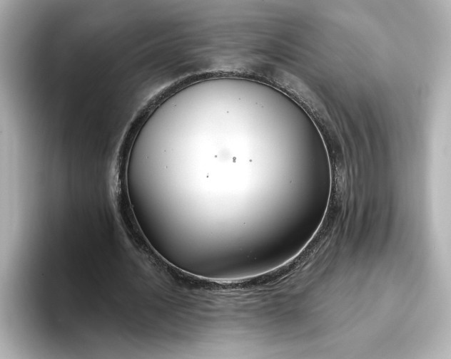 X0000096970628200802221403