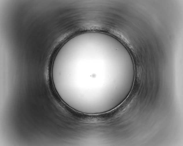 X0000096970629200802221403