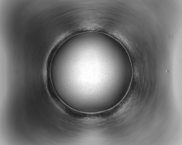 X0000096970630200802221403