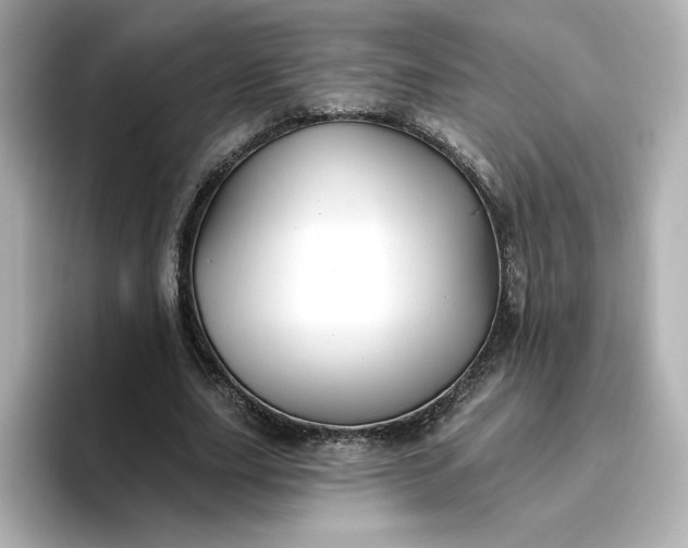 X0000096970631200802221403