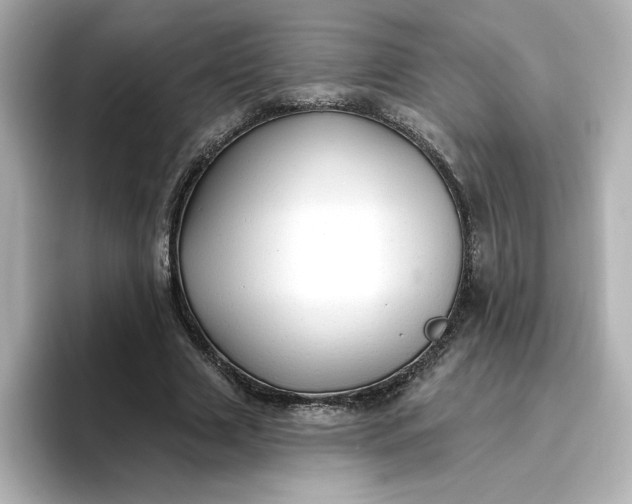 X0000096970633200802221403