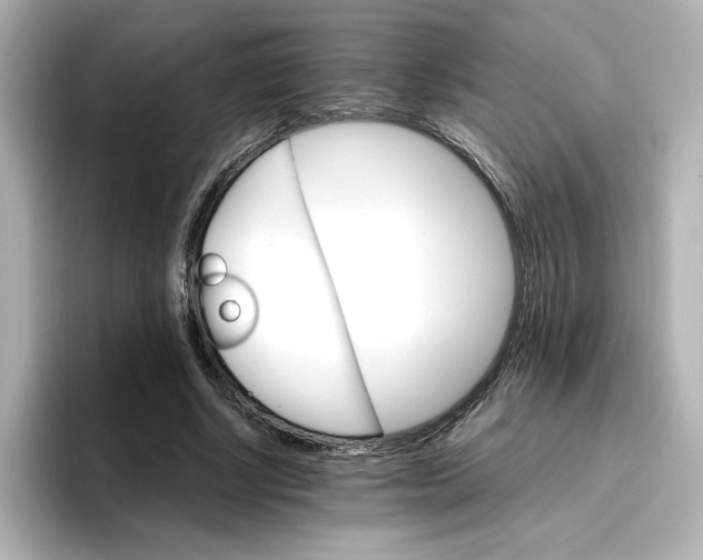 X0000096970634200802221403