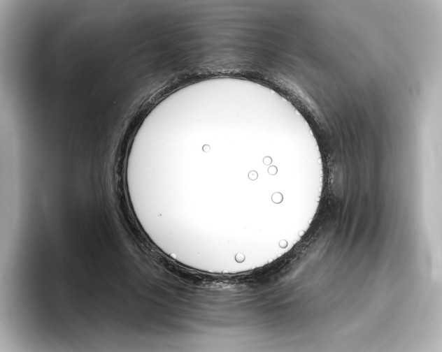 X0000096970635200802221403