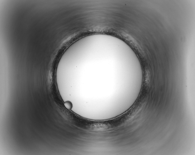 X0000096970636200802221403