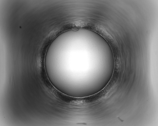 X0000096970639200802221403