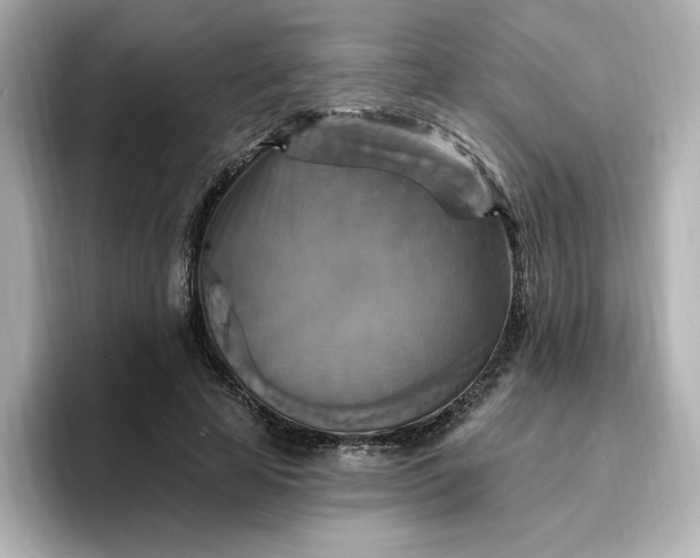 X0000096970641200802221403