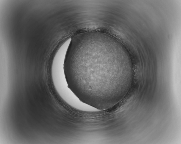 X0000096970642200802221403