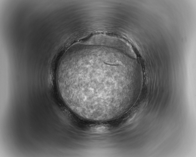 X0000096970643200802221403