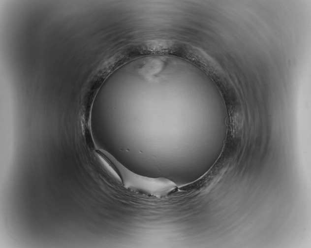 X0000096970644200802221403