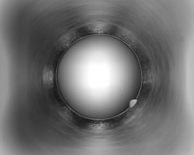 X0000096970646200802221403