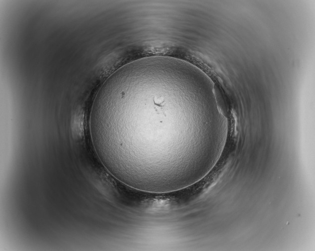 X0000096970647200802221403