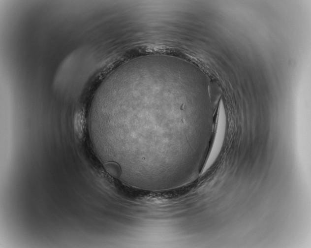 X0000096970648200802221403