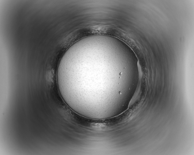 X0000096970649200802221403