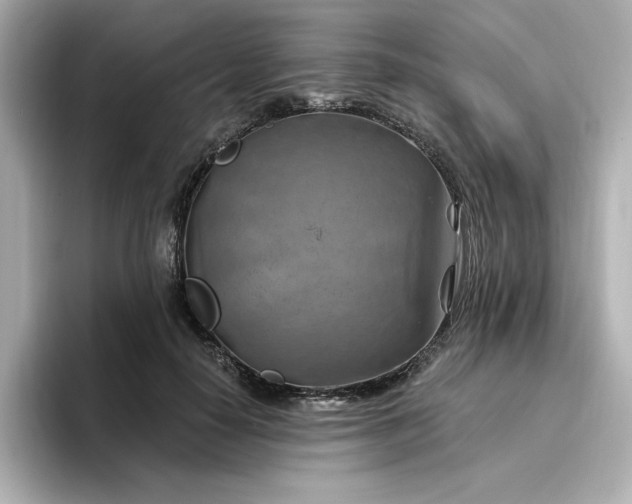 X0000096970650200802221403