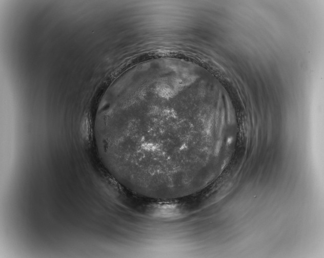 X0000096970651200802221404