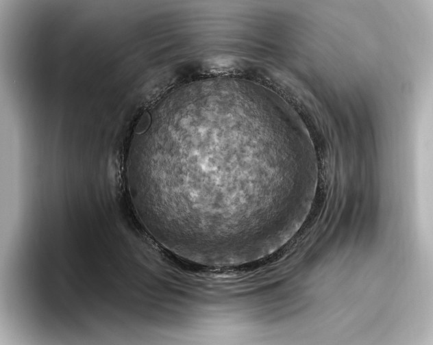 X0000096970653200802221404