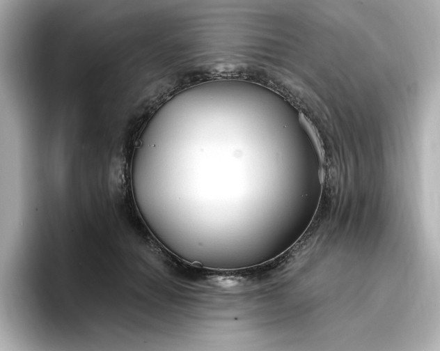 X0000096970654200802221404