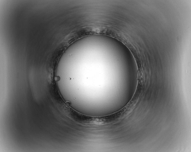 X0000096970656200802221404