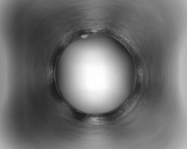 X0000096970657200802221404