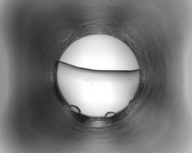 X0000096970658200802221404