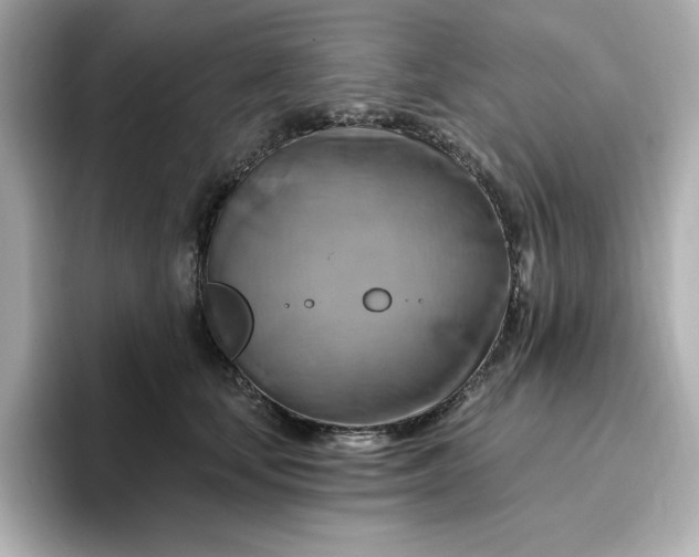 X0000096970659200802221404