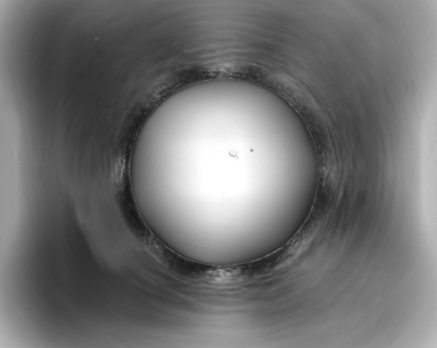 X0000096970660200802221404