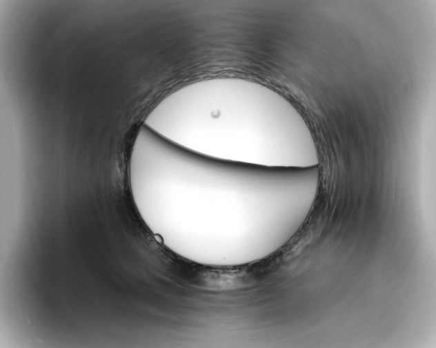 X0000096970661200802221404