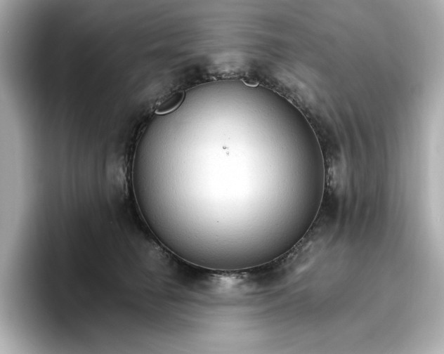 X0000096970662200802221404