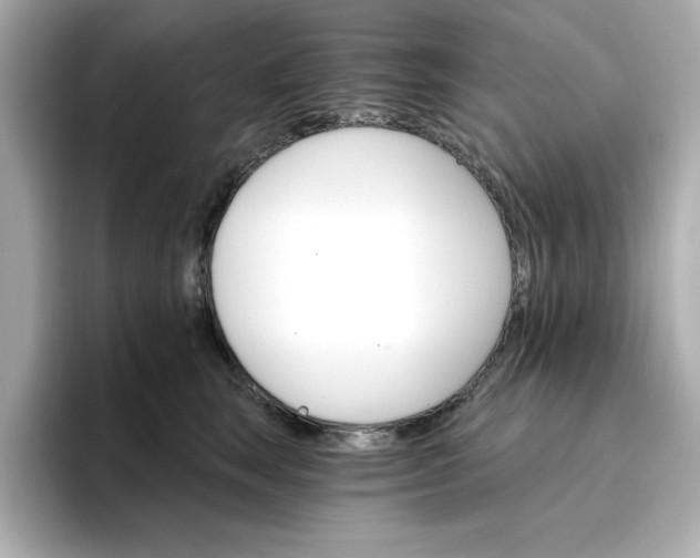 X0000096970663200802221404